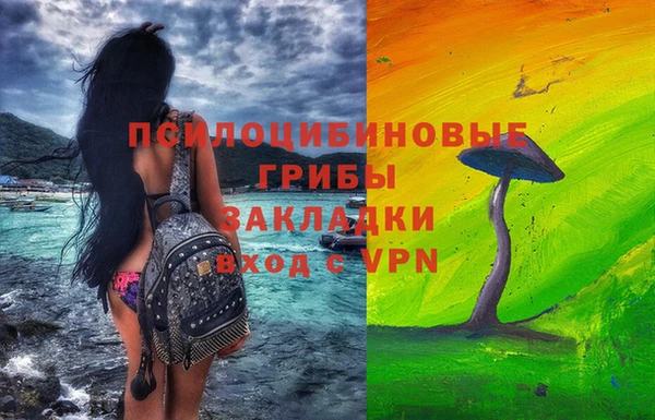 прущая мука Армянск