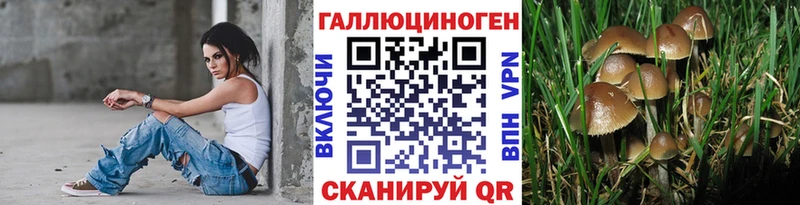где купить   Медвежьегорск  Галлюциногенные грибы MAGIC MUSHROOMS 